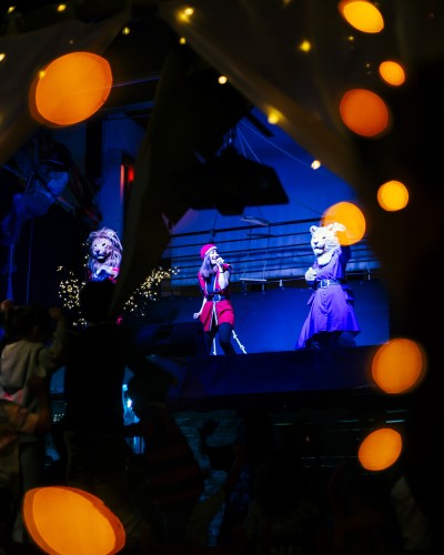 Espectáculos y animación