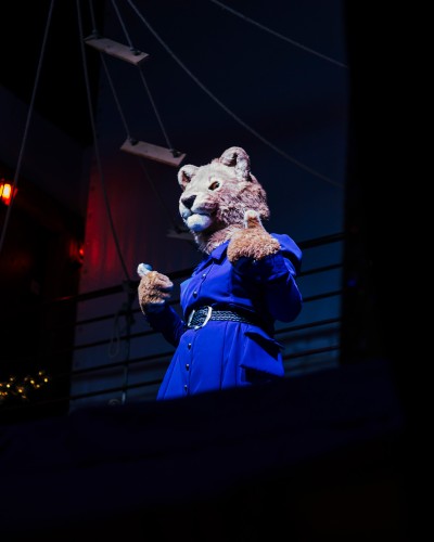 Espectáculos y animación